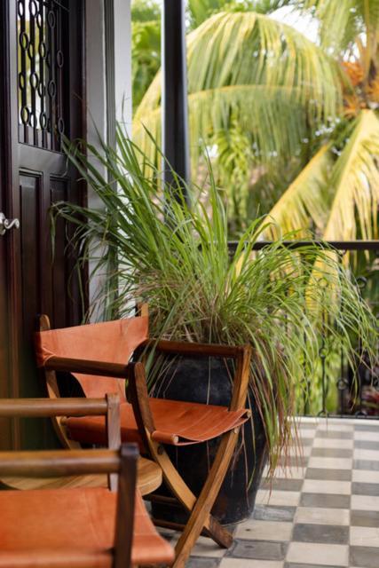 Casa Bubu Guest House グラナダ エクステリア 写真